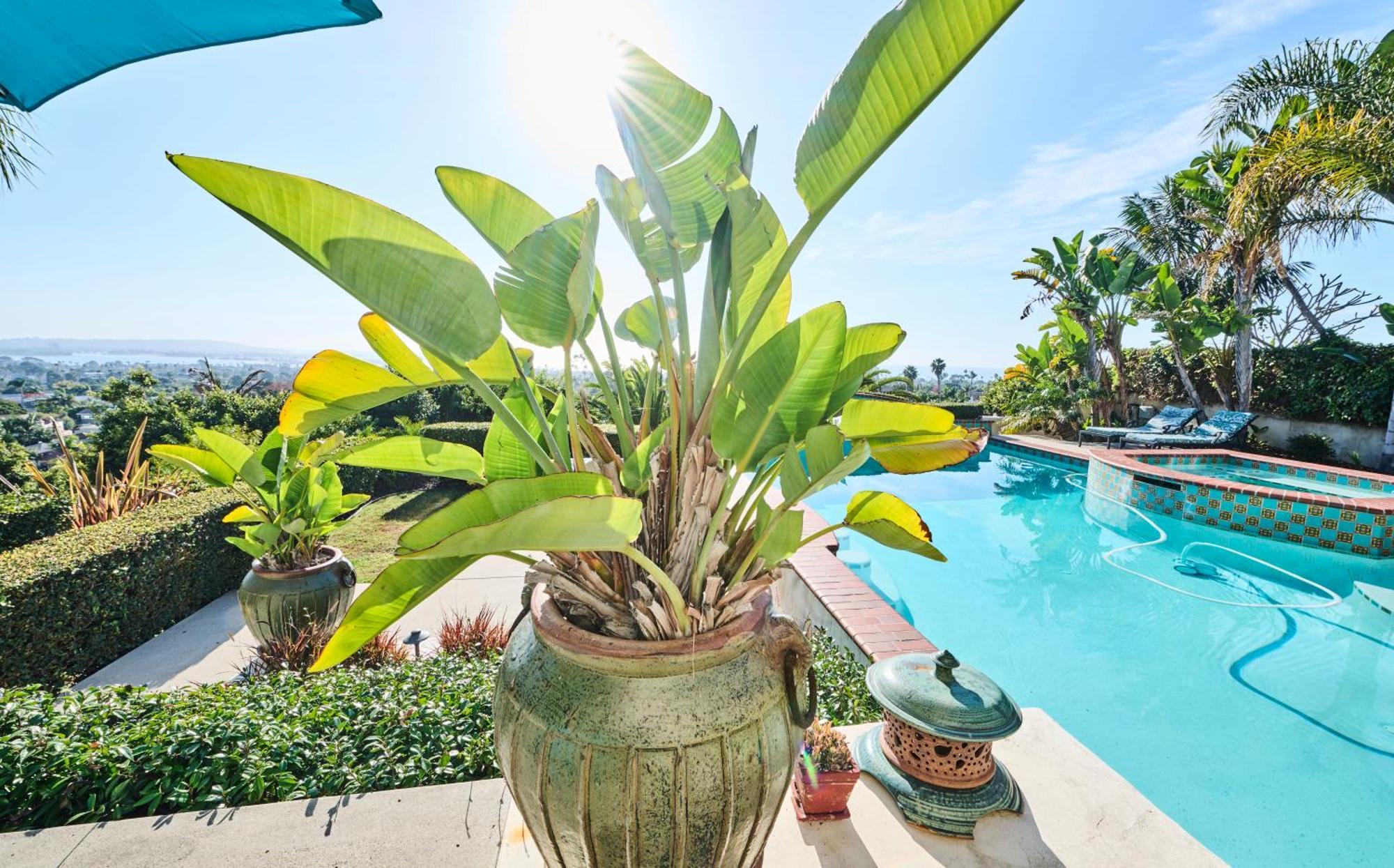 360 Degree Ocean & City Views With Pool, Spa, Close To The Beach! Pets Ok San Diego Zewnętrze zdjęcie